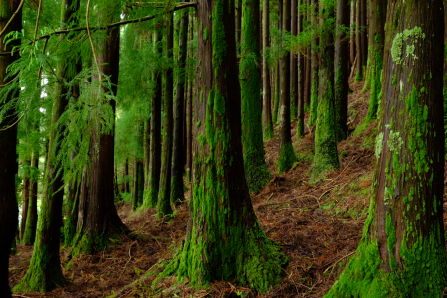 What is Intuition, Really?